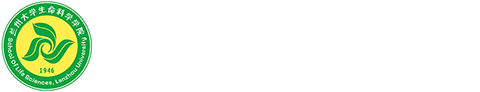 必赢766net手机版